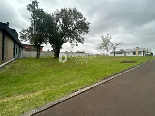 Vista externa de um terreno com gramado e árvores.