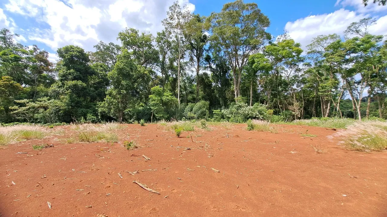 Terreno, foto 1