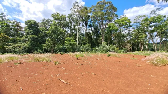 Terreno