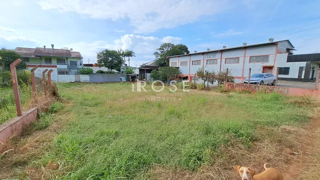 Terreno, foto 4