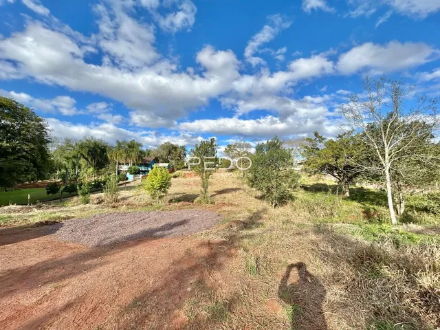 Vista externa de terreno com vegetação seca e caminho de terra em Lajeado.