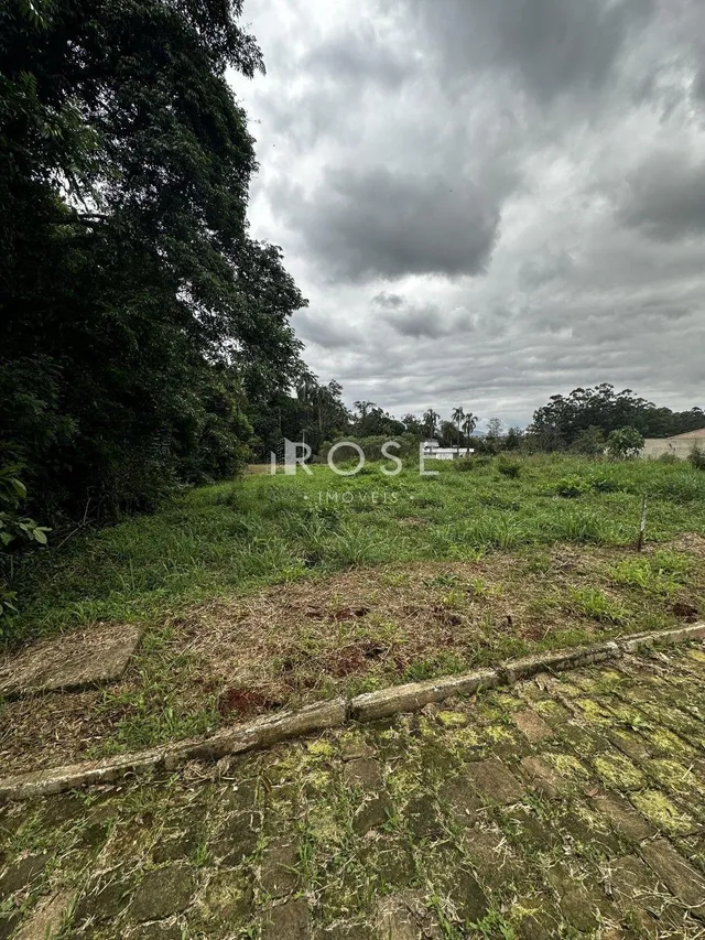 Terreno, foto 4