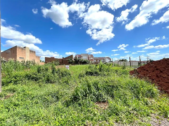 Terreno