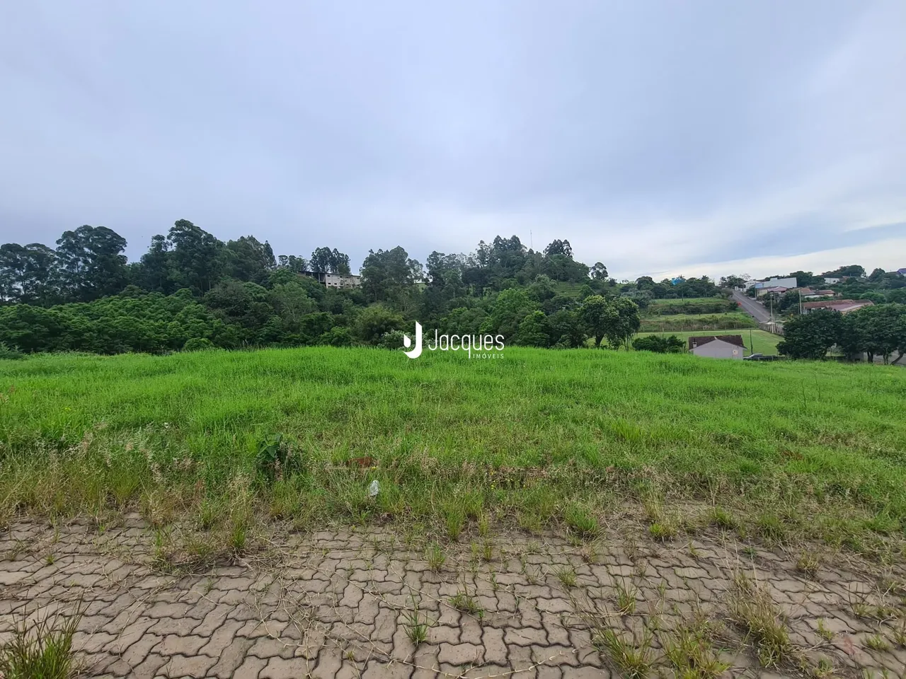 Paisagem de campo com vegetação alta e árvores ao fundo.