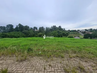 Paisagem de campo com vegetação alta e árvores ao fundo.