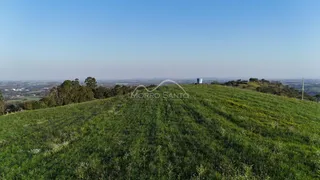 Vista panorâmica de uma colina verde com vegetação ao fundo.