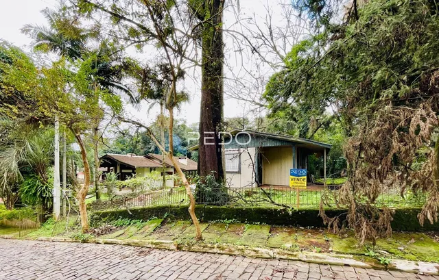 Terreno, foto 4