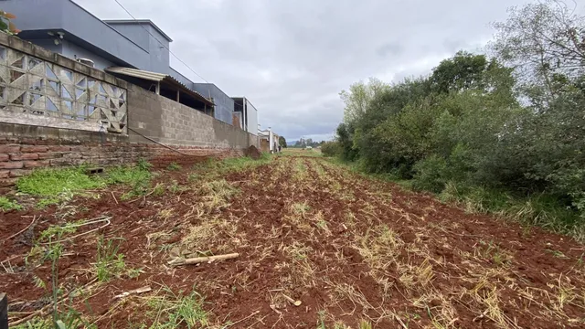 Terreno, foto 2