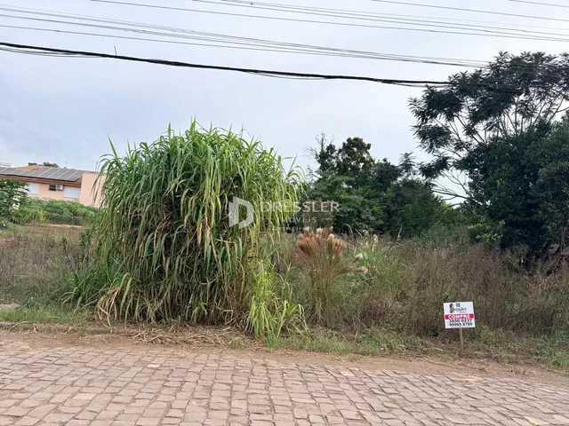 Terreno, foto 3