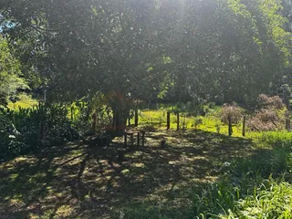 Área rural com 2 dormitórios, foto 12