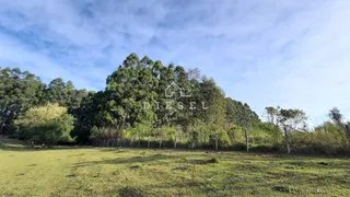 Área rural com 3 dormitórios, foto 13