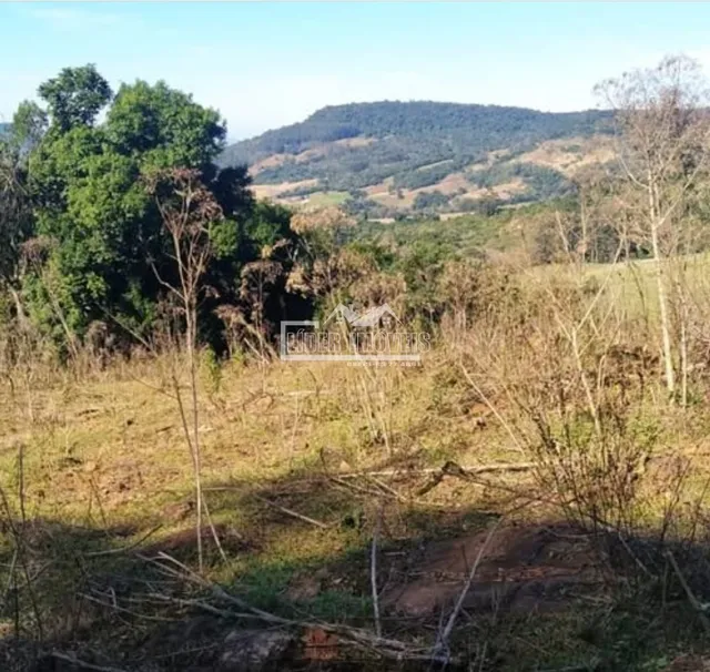 Paisagem de campo com vegetação seca e colinas ao fundo.