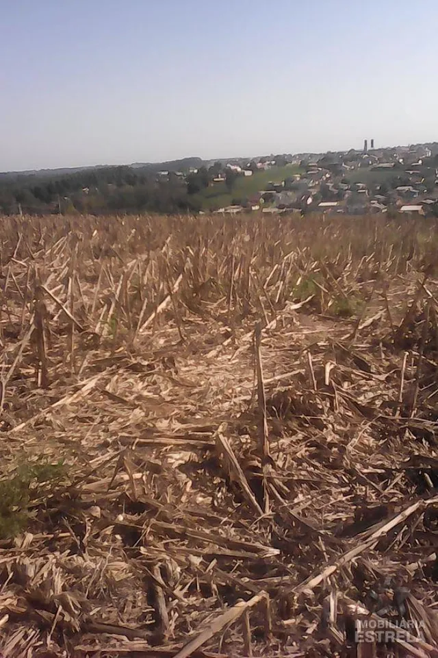 Área rural, foto 4