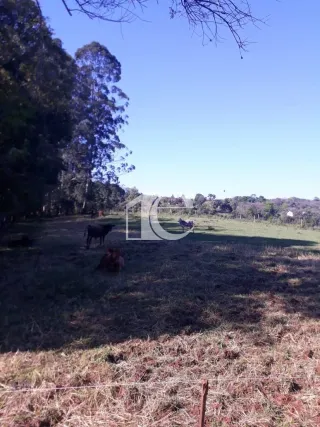 Área rural, foto 13