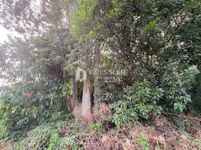 Área rural, foto 5