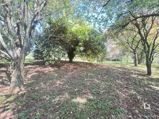 Área rural com 2 dormitórios, foto 17