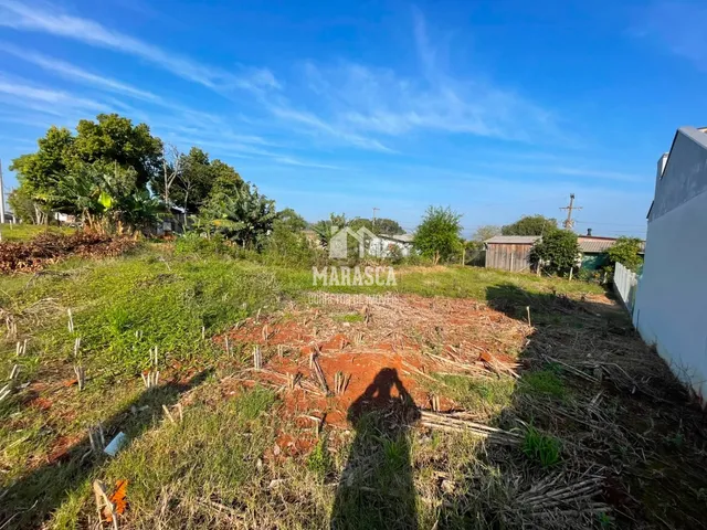 Terreno, foto 2