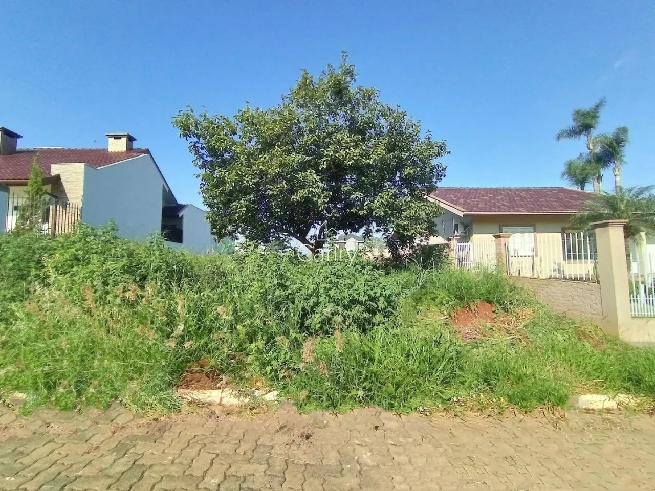 Terreno, foto 1