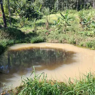 Área rural, foto 20