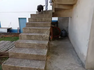 Casa com 2 dormitórios, foto 9