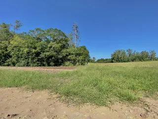 Vista de um campo aberto com vegetação densa e árvores sob um céu azul.