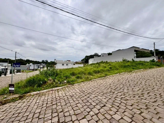 Vista externa mostrando uma rua pavimentada e vegetação ao lado de edifícios brancos.