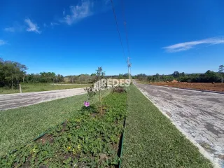 Terreno, foto 7