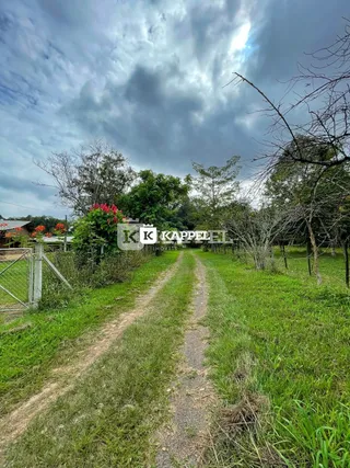 Caminho de terra atravessa uma área de vegetação em uma propriedade rural.