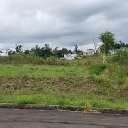 Vista de um campo gramado com vegetação e árvores sob um céu nublado.