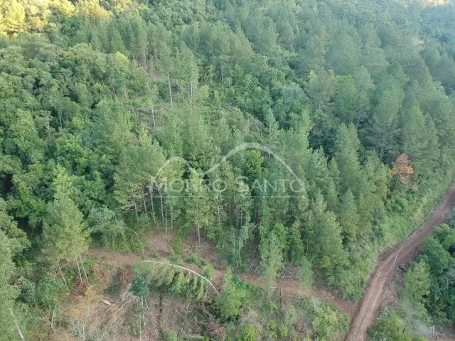 Área rural