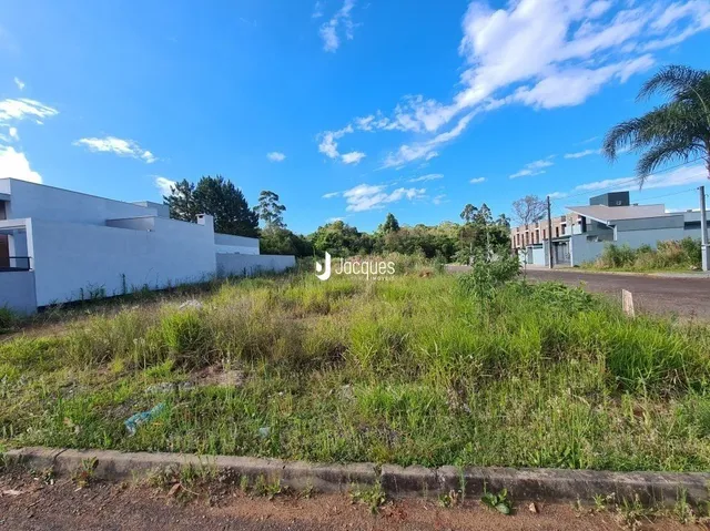 Vista externa de um terreno com vegetação alta e muro branco.