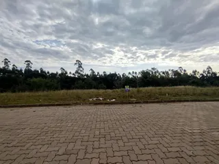 Terreno, foto 2