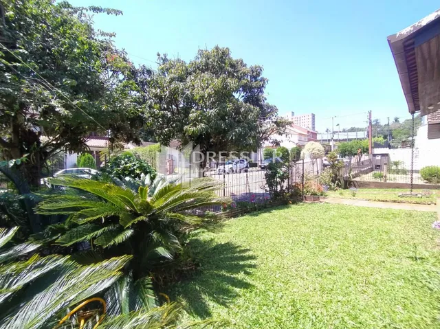 Jardim verde com árvores e gramado na propriedade.