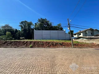 Terreno, foto 3