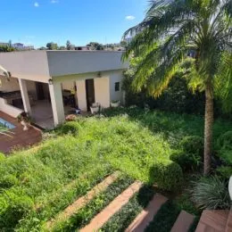 Vista externa de um jardim com grama verde e vegetação.