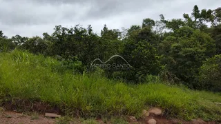 Área rural, foto 6