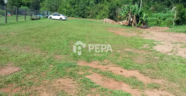 Terreno, foto 3