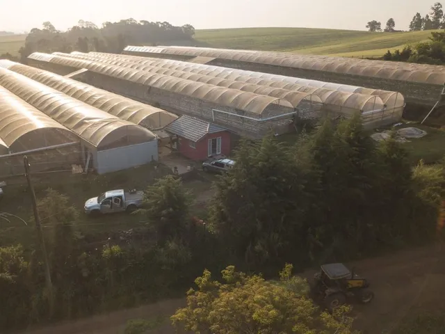Área rural, foto 5