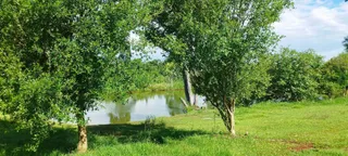Área rural com 5 dormitórios, foto 11