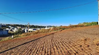Vista da rua e vegetação ao lado de uma propriedade em Lajeado.