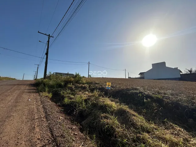 Paisagem de terra e vegetação ao lado de uma estrada rural.