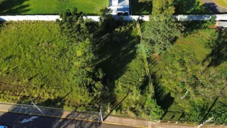 Vista aérea de uma área verde com vegetação densa e uma estrada no primeiro plano.