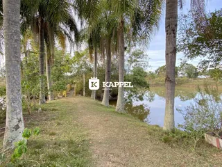Vista de um rio com vegetação e palmeiras em Lajeado.