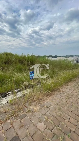 Terreno, foto 6