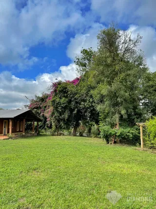 Área rural com 3 dormitórios, foto 8