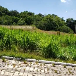 Terreno, foto 2