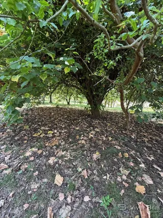 Área rural com 2 dormitórios, foto 8