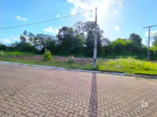 Vista da rua e vegetação de uma propriedade em Lajeado.