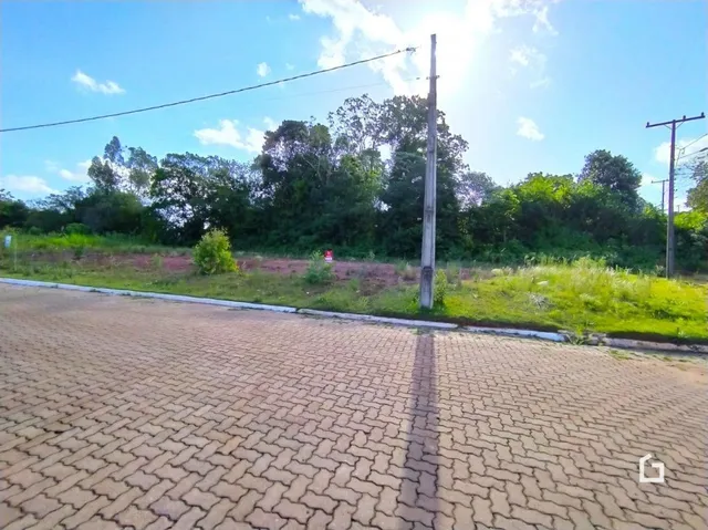Vista da rua e vegetação de uma propriedade em Lajeado.