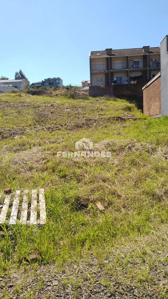 Terreno